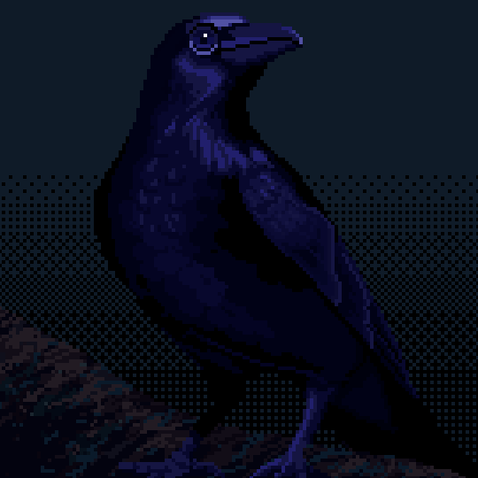 Second Image 1